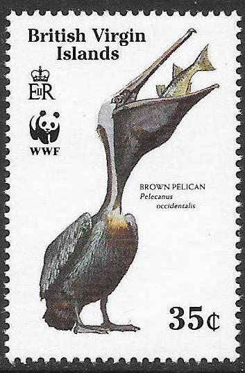 British Virgin Islands 1988 621 4 Brown pelicans WWF