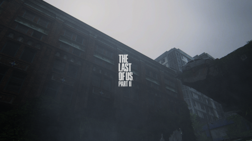 The Last of Us™ Part II 20201110192435