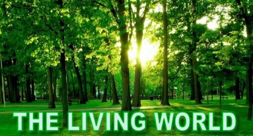 The Living World 001