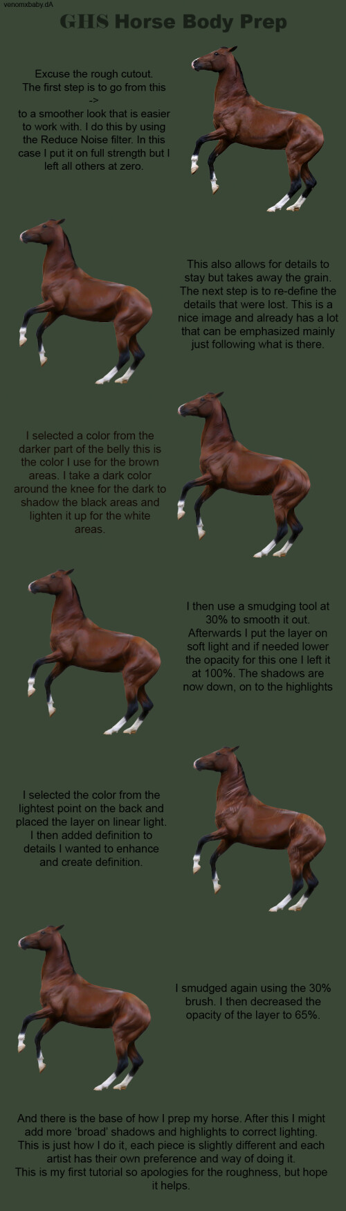 Horse Prep Tutorial