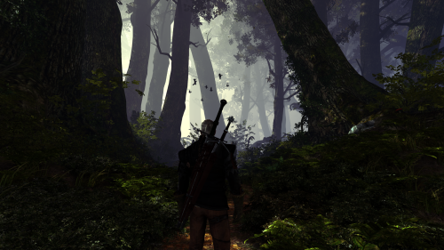 The Witcher 2 Assassins of Kings Screenshot 2022.04.01 17.52.32.61