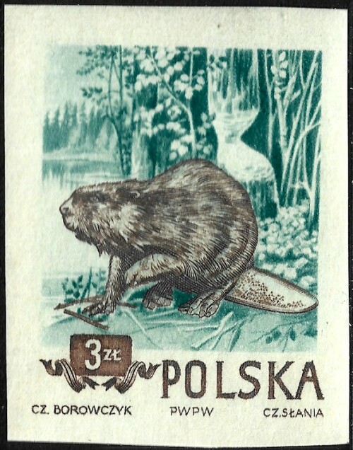 Poland Scott Nr 663 1954 engraved by Czeslaw Slania