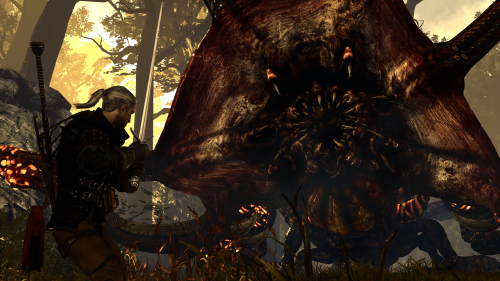 The Witcher 2 Assassins of Kings Screenshot 2022.04.02 16.49.06.24