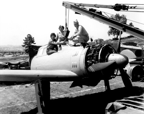  Shot From The Sky Army Show 1945 Oak Ridge (24971013612)