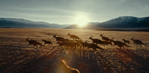 kBVff0.gif