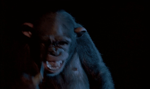 kBfUlA.gif