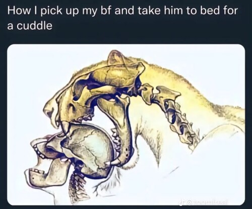 oMiNic.jpg