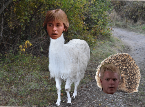 rAxkCQ.png