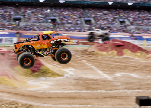 el toro loco leaps 5921930667 o