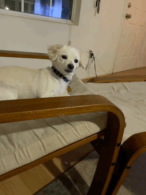 rnuBG5.gif