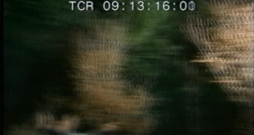 t7WmCc.jpg