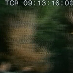 t7WmCc
