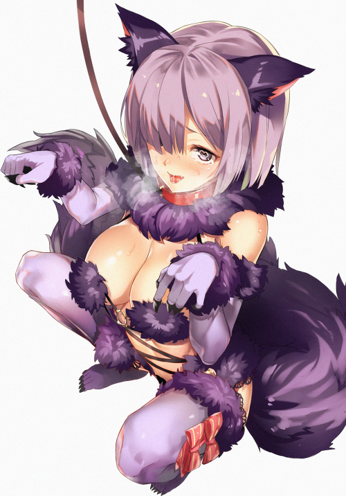 2430858 FateGrand Order Fate (series) Halloween Mash Kyrielight Shielder syannhaineko